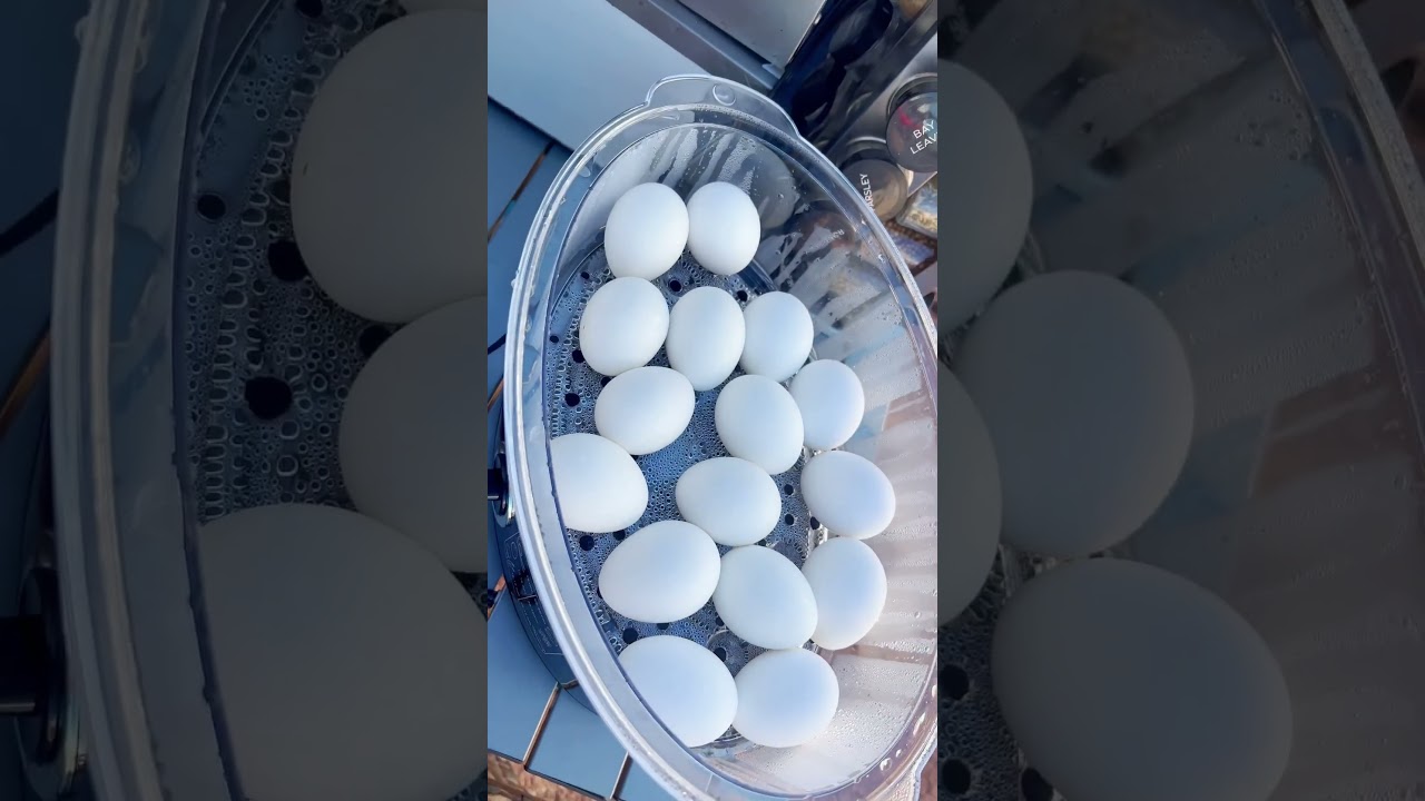 TIME FOR MY STEAMED EGGS AND STEAMED RICE WITH BEANS! - MYSTICA