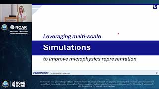 Bridging Scales in Cloud Microphysics from Observation to Simulation - Emily de Jong, 7/30/26