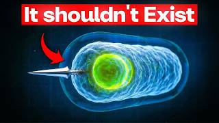 THE MICROBE BIOLOGY CAN'T CONTAIN