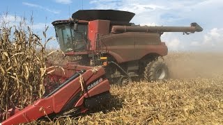 Corn Harvest 2016: Case IH 9240 Combine and 16 Row Corn Head