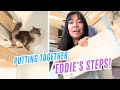 Putting together Eddie's steps!