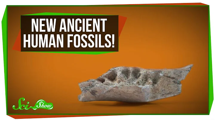 New Ancient Human Fossils! - DayDayNews