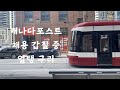 🇨🇦캐나다 우체국 직원 너네들 많이해라… | 조롱죄로 곧 고소 예정 【EP.01】