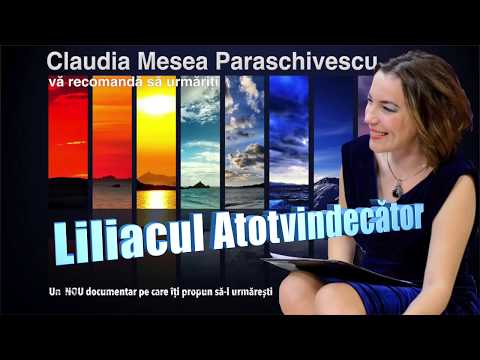 Video: Liliac Leguminos