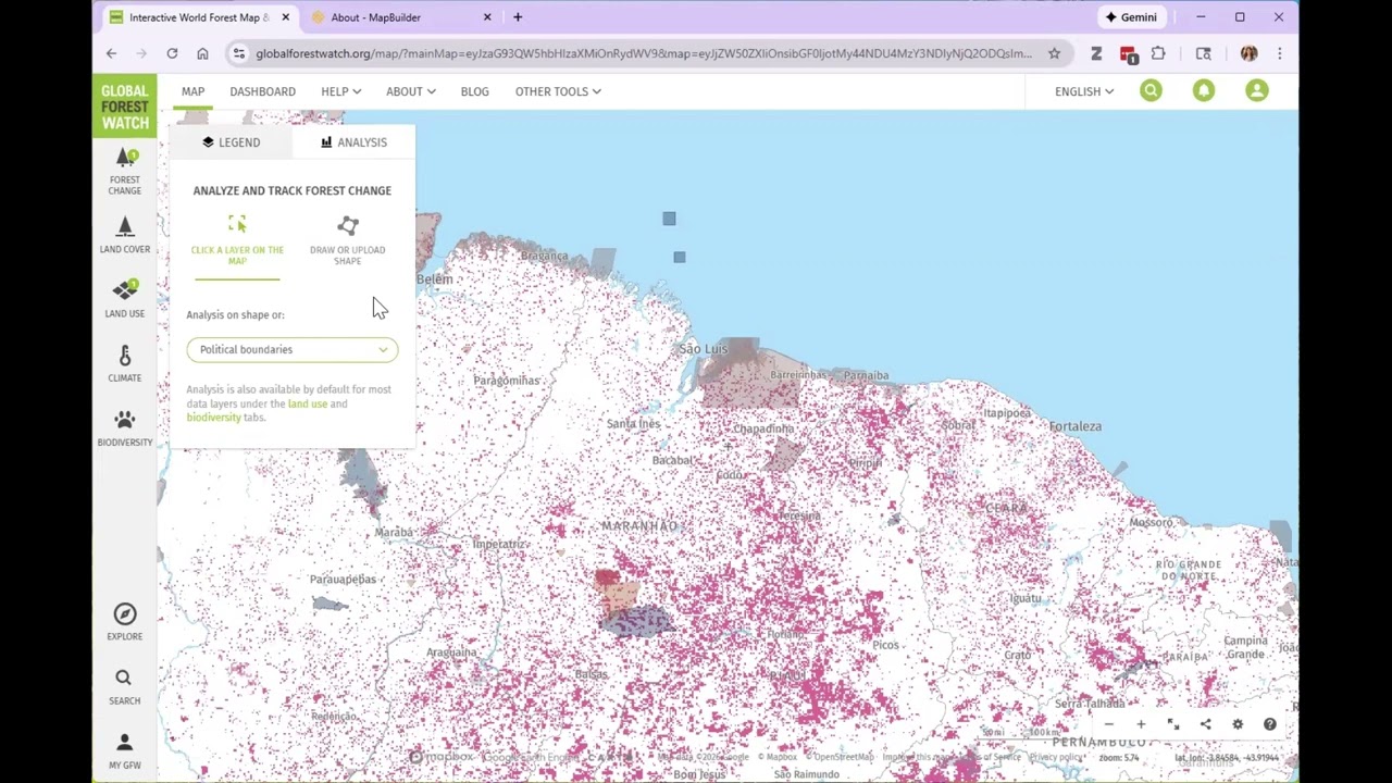 Global Forest Watch Demo