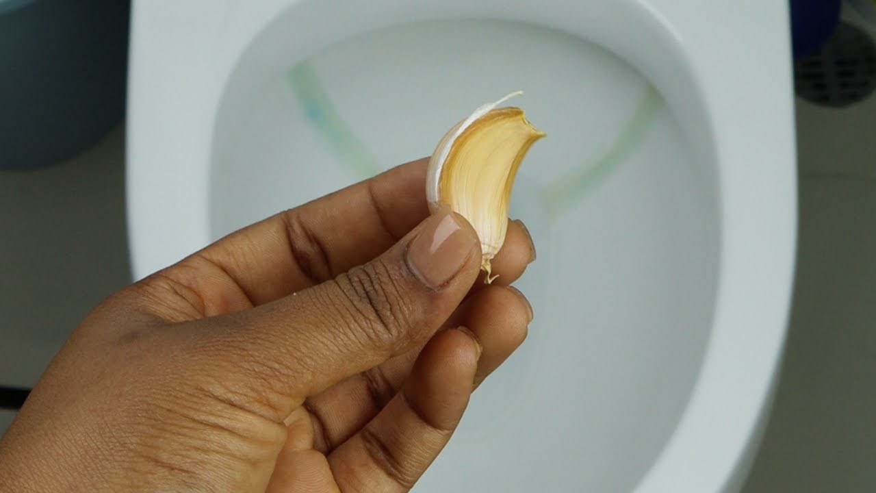 Put 1 clove of garlic in the toilet for this amazing hack YouTube