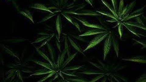 Rust highlights New.Recoil