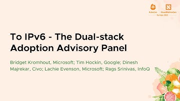 To IPv6 - The Dual-stack Adoption Advisory Panel