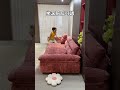 Lazy sofa lazy sofa living room sofa sofa lazySofa recommendation