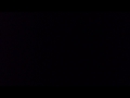 【わたわたしながら】乱獲パラレル【歌ってみた】