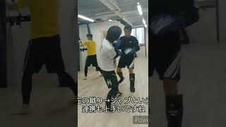 左左のコンビネーションが良い人
