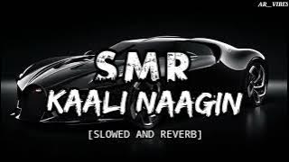 S  M  R Kaali Nagin Ke Jaisi Julfen Teri Kali Kali (Slowed and reverb)🎧🎶🐍||Udit Narayan ||AR__VIBES
