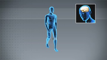 👣 How FES Helps Foot Drop Patients Walk Again | Science Explained