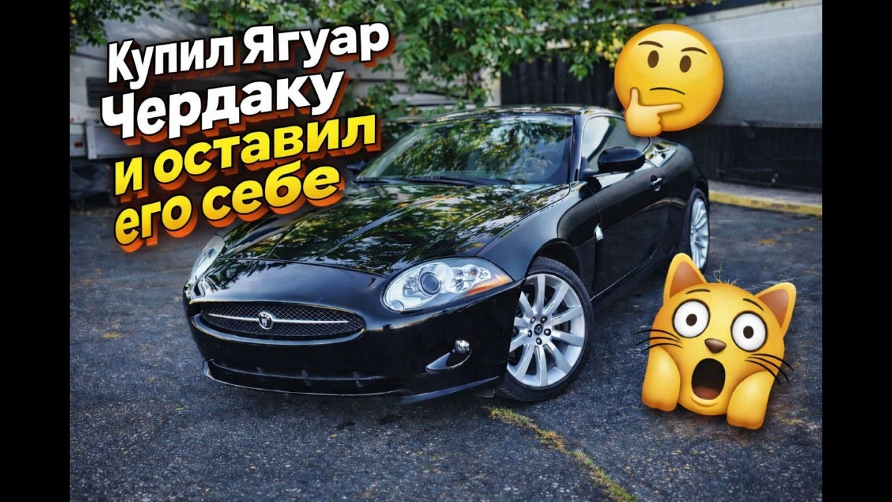 Jaguar 2 года нервов! финал зачем я его оставил?