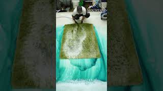 Not Sure If This Is A Rug Or Just Grass But I Cleaned It Anyway!  ASMR Carpet Cleaning. #shorts