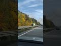 Осінні фарби розквітають...