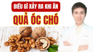 Điều Gì Xảy Ra Nếu Bạn Ăn Quả Óc Chó Mỗi Ngày? | Dược sĩ Đạt