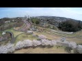 2014桜満開空撮 Aerial View of Cherry-blossm