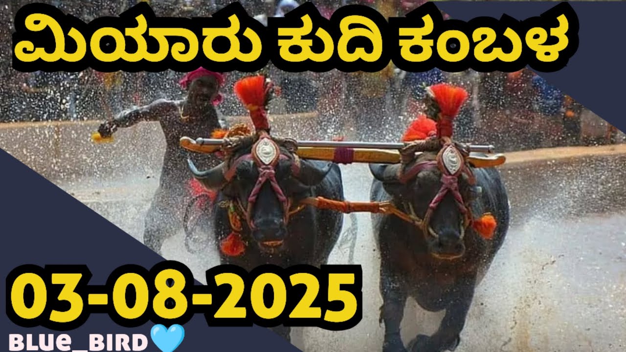 Kudi Kambala @ MIYAR 03-08-2025||ಮಿಯಾರ್ ಕುದಿ ಕಂಬಳ ||