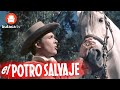 El potro salvaje - película completa