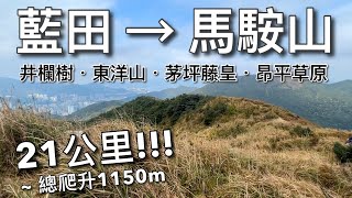 【全長21公里】 藍田行去馬山井欄樹東洋山茅坪昂平