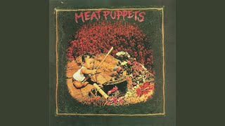 Video thumbnail of "Meat Puppets - Litterbox"