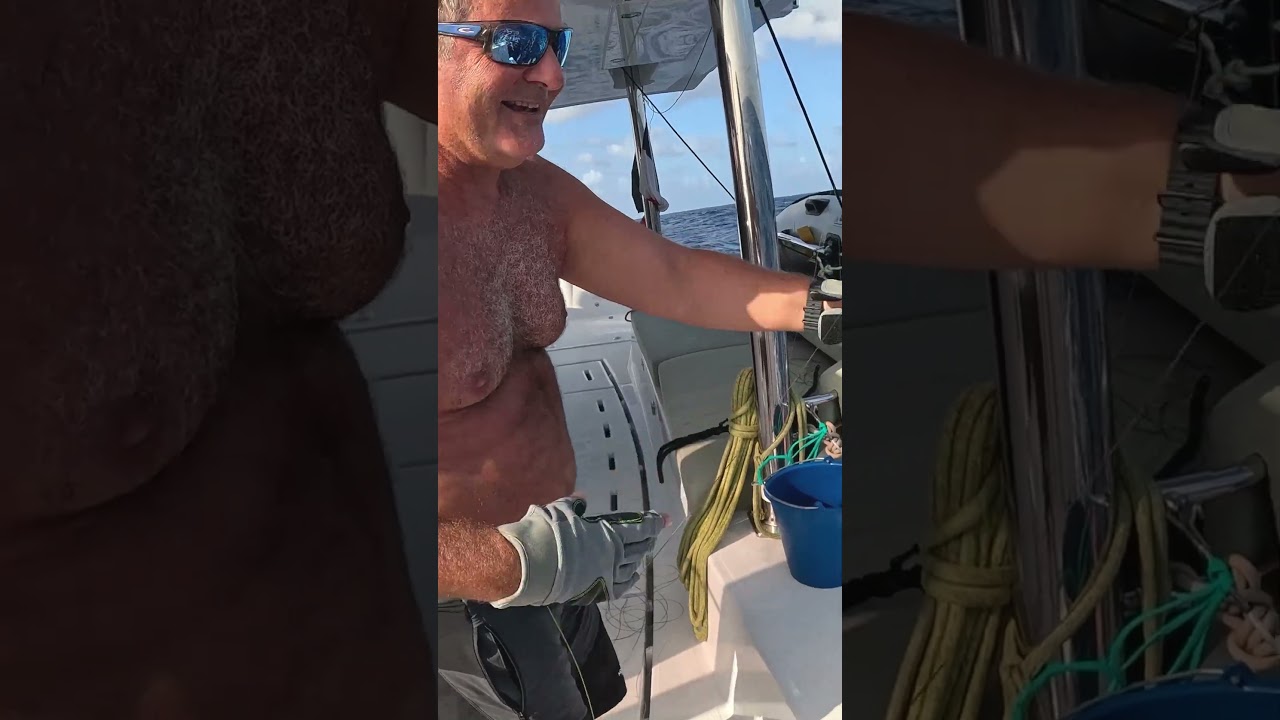 On pensait avoir accroché un oiseau… 😳 (Transat Atlantique)