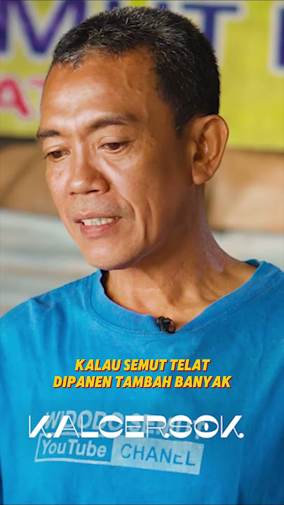TERNAK KROTO DI LAHAN SEMPIT 2 X 3 METER #mojokdotco