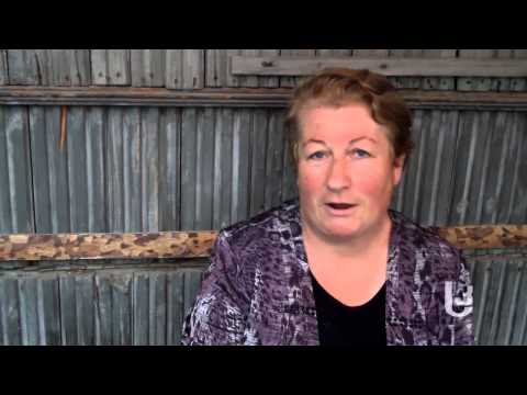 ციფრული მაუწყებლობა