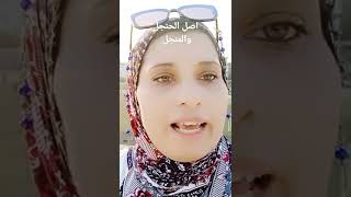 اصل كلمة الحنجل والمنجل.تابع باقى الفيديو على القناة👇https://youtu.be/NxGsyJs9-L4.#الامارات#الكويت