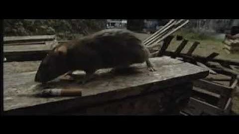 The X-Files Game - Day 1 (Part 1/2)