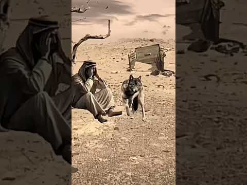 ومن يسمع هاذي القصيده يجيب لمه هديه