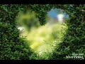 Lafzo mein kehna sakun Whatsapp Status Video Download Free