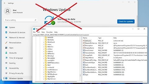 Stop / Disable windows 11 auto update service using registry editor