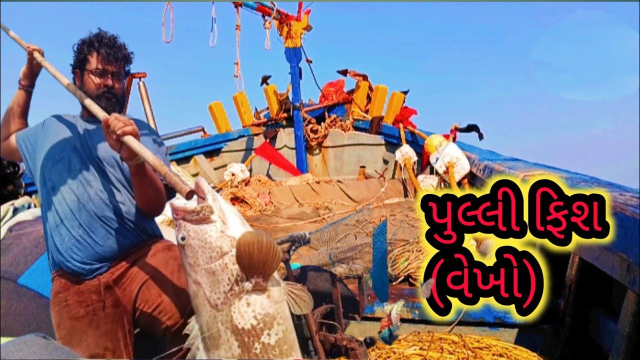 પુલ્લી ફિશ (વેખો)पुलि फिश Pulli  fish (vekho)🐟 🐠 ⛵ sea food 
