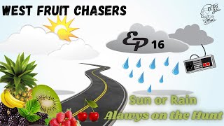 West Fruit Chasers Ep 16  (Sun or rain Always on the Hunt)