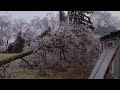 Ice  Storm  Southern Ontario  Feb  23/2023