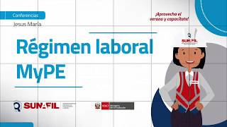 Régimen laboral Mype