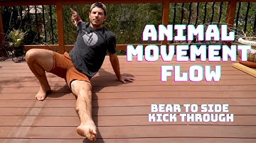 Animal Movement Flow - Bear to Side Kick Through