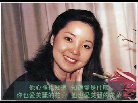鄧麗君 - 你愛哪一朵 24-bit