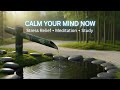 River Sounds with Relaxing Piano Music ?? Sleep Music Study Music  Calm Mind
