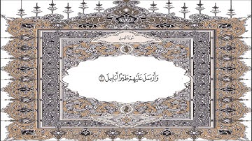 القرآن الكريم  سورة الـفيل   105  Quran Sourate  Al Fil  Coran Surah