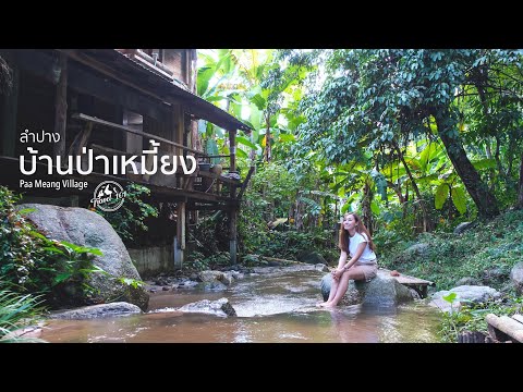 เที่ยวบ้านป่าเหมี้ยง นอนโฮมสเตย์ริมสายน้ำกลางหุบเขา ลำปาง | Travel 101 | Paa Meang Village SS2:Ep17