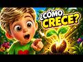 La Germinación 🌱😲 Cómo crece una planta (Canción para niños)