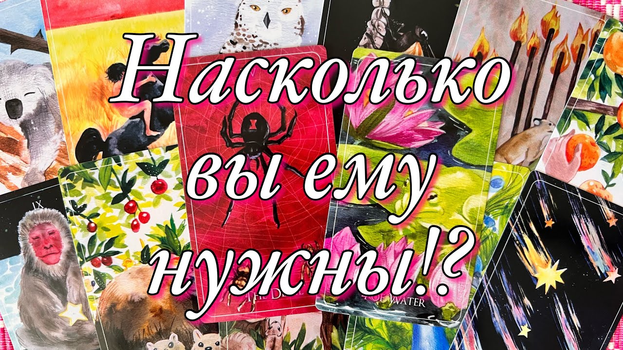 ♥️♠️НУЖНЫ ЛИ ВЫ ЕМУ НА САМОМ ДЕЛЕ?🧨ЧТО ВАМ НУЖНО ЗНАТЬ, ПОНИМАТЬ, НА ...
