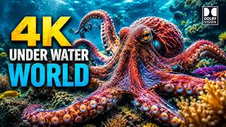 🌊 4K UNDERWATER LIFE Documentary | Deep Ocean Wildlife & Rare Marine Creatures in Ultra HD @NatGeo
