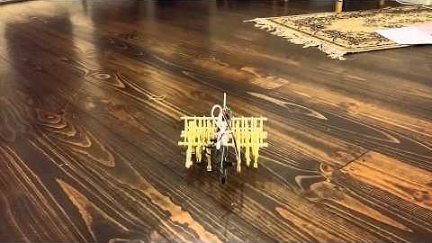 Strandbeest Raspberry Pi node-bot