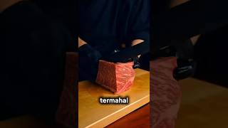 Kenapa Daging Wagyu Jepang Sangat Mahal Rahasia Sapi Wagyu Terungkap