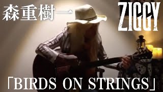 Video thumbnail of "森重樹一弾き語り「BIRDS ON STRINGS」"