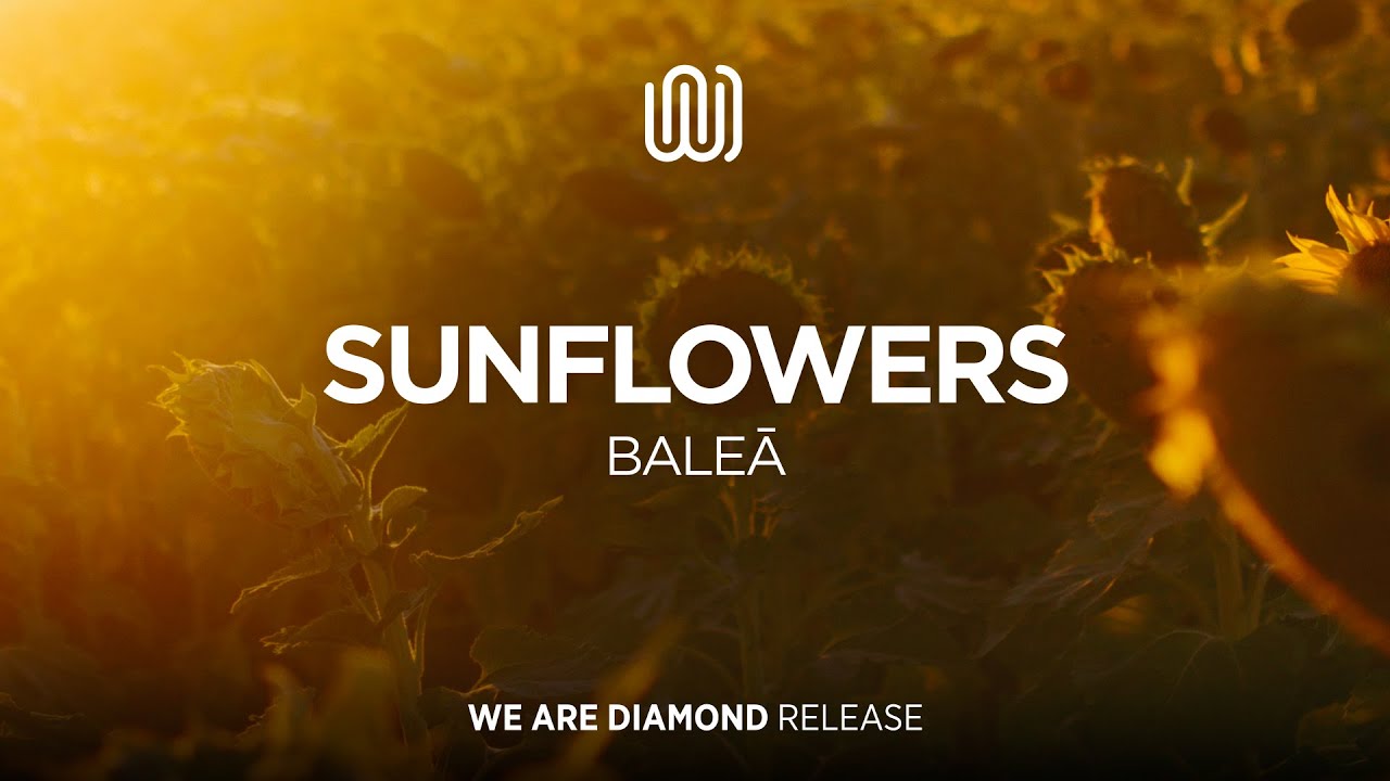 Watch BALEĀ - Sunflowers on YouTube Watch BALEĀ - Sunflowers on YouTube